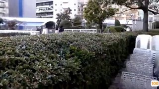 少女阴道在情色色情视频中被阴茎填满